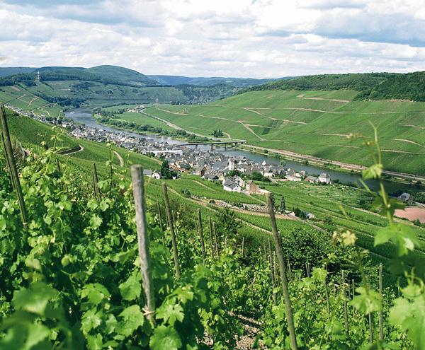 Weinberghotel Nalbach Reil Exterior foto